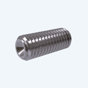 Grub Screw